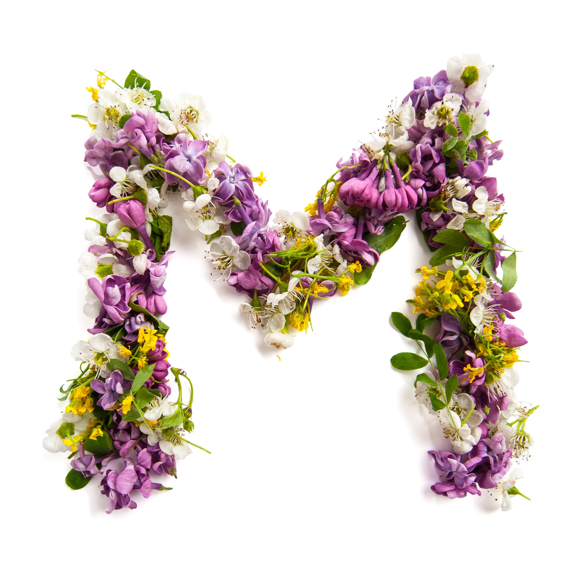 The letter «M» made of various natural small flowers.