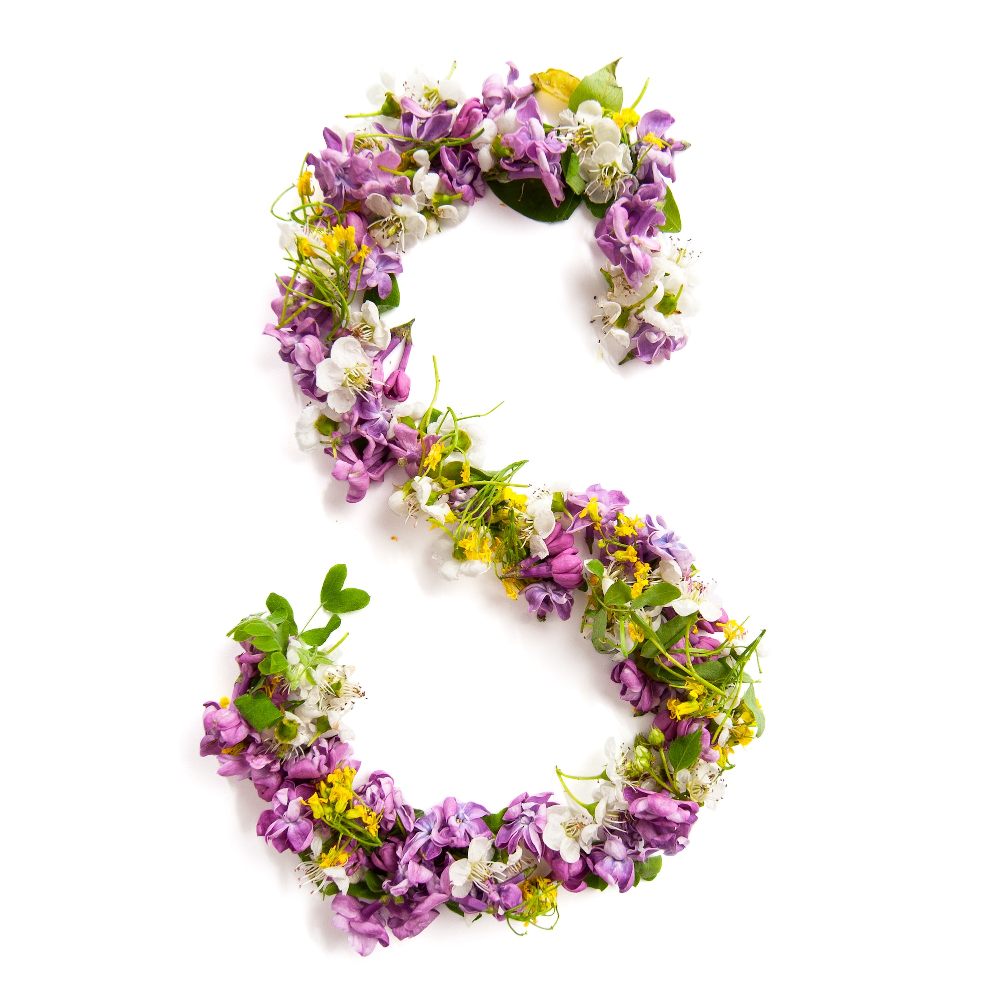 The letter «S» made of various natural small flowers.