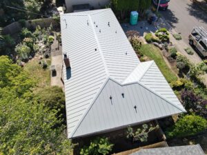 Aerial view of a large house with light-gray metal roofs, surrounded by trees, gardens, and a street with people and a parked truck nearby.