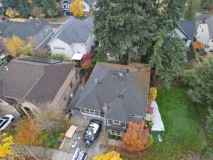 Aerial view of a suburban neighborhood in autumn with grey roofs, a large evergreen tree covering several houses, and workers on a roof near a dumpster.