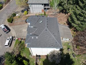Aerial view of a suburban street with gray-roofed houses, driveways, and leafless trees between backyards.