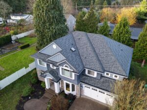 Aerial view of a blue-gray two-story house with a stone facade, circular driveway, front porch, and tall evergreen trees surrounding the property.